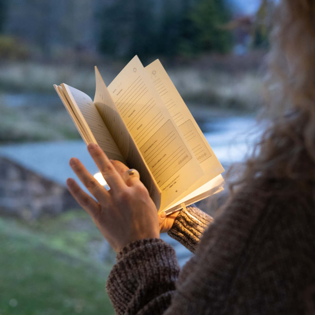 Dziennik Manifestacji